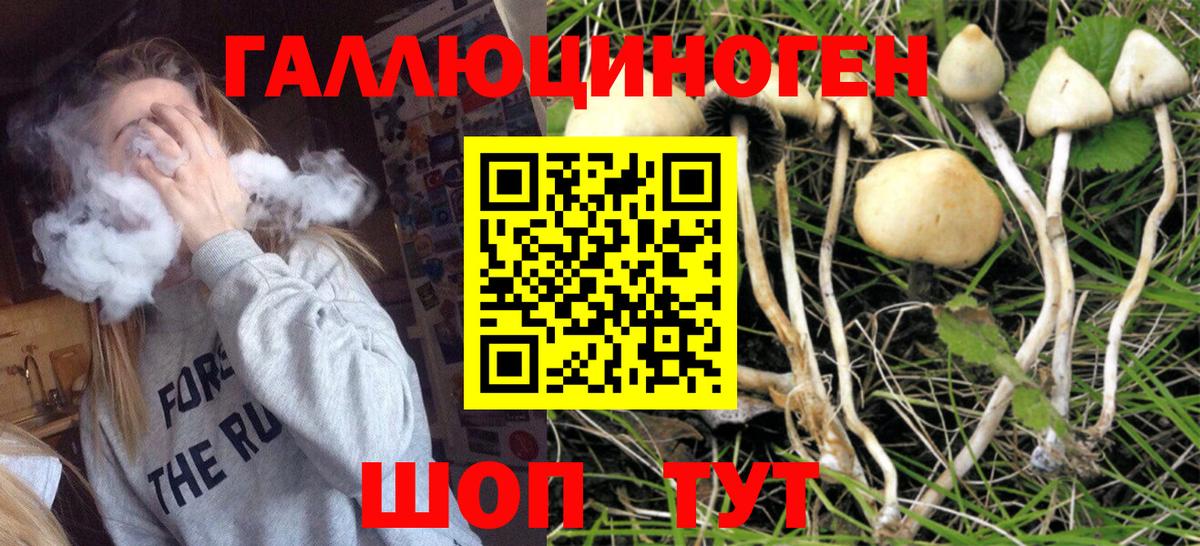 Галлюциногенные грибы прущие грибы  Вход с VPN  Ковров 